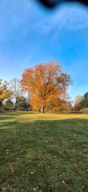 Foto - Einfamilienhaus in Jördenstorf zum Kaufen
