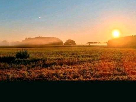 Foto - Wochenend Grundstück an der Havel, mit Wohnwagen