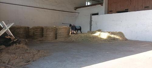 Foto - andere in Plessa zur Miete