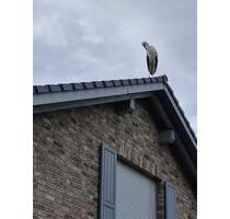 Einfamilienhaus zu verkaufen - 675.000,00 EUR Kaufpreis, in Benz (PLZ: 23970)