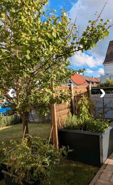 Foto - WG Zimmer Wohngemeinschaft Wohnung