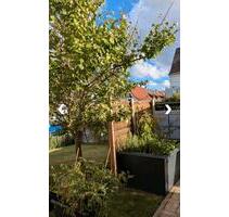 WG Zimmer Wohngemeinschaft Wohnung - Schweinfurt Gartenstadt