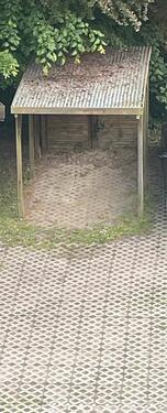 Foto - Parkplatz zum Vermieten - 50,00 EUR Miete,