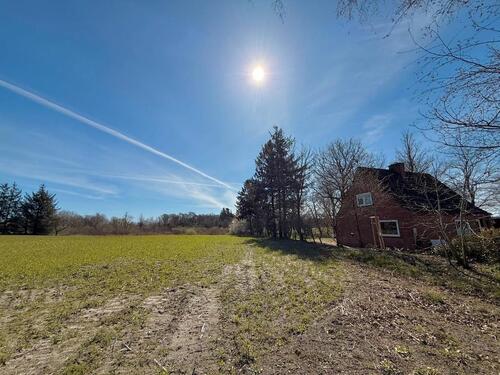 Foto - 3 Zimmer Einfamilienhaus in Langenhorn