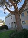 Foto - Sehr schöne 2-Raum-Wohnung in Top Wohnlage Solinger Süden