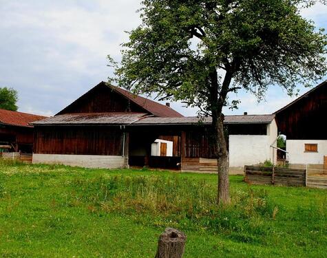 Foto - Einfamilienhaus in Egglham