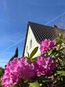 Foto - Zwischenvermietung! Sonnige 2-Zimmerwohnung mit Balkon nahe Frank