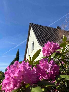 Foto - Zwischenvermietung! Sonnige 2-Zimmerwohnung mit Balkon nahe Frank