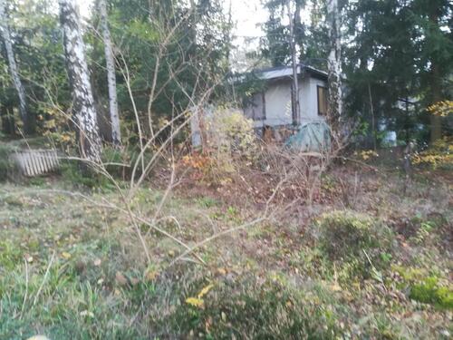 Foto - Einfamilienhaus zum Kaufen in Ohrdruf