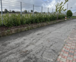 Foto - Stellplatz Anhänger Outdoor (Videoüberwacht 