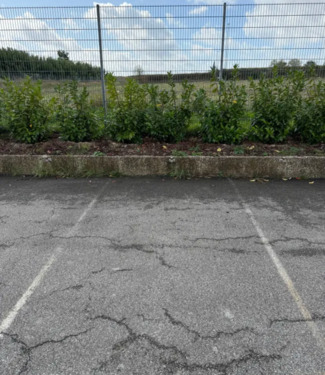 Foto - andere zur Miete in Boltenhagen