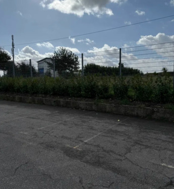 Foto - andere in Boltenhagen
