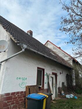 Foto - 6 Zimmer Mehrfamilienhaus, Wohnhaus in Wettin-Löbejün