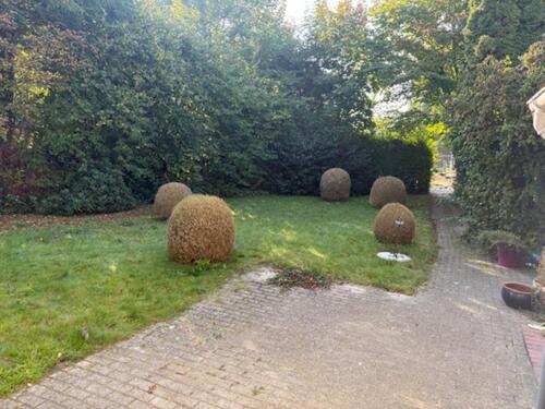 Foto - andere zur Miete in Rastede