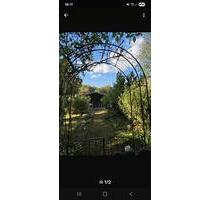 Pachtgarten abzugeben - 1.500,00 EUR Kaltmiete, ca.  0,00 m² in Rostock (PLZ: 18119) Hohe Düne