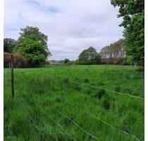 Pfeerdekoppel von Privat (0176 3411 2812) an <Privat. - Quickborn