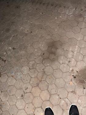 Foto - andere zur Miete in Höhr-Grenzhausen