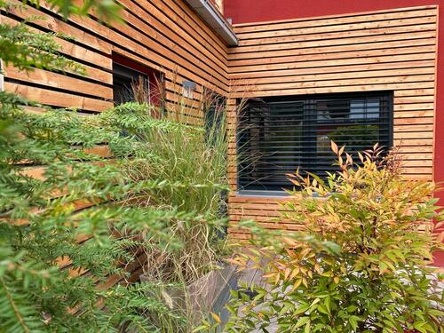 Foto - 