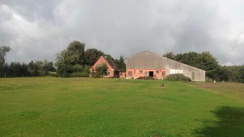 Foto - Einfamilienhaus zum Kaufen in Husum