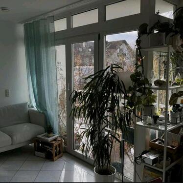 Foto - Helle 2-Zimmer Wohnung + großer Balkon