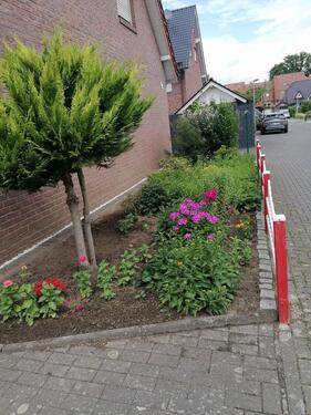 Foto - Einfamilienhaus in Dülmen