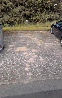 Foto - andere in Schwerin