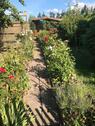 Foto - Pachtgarten - 1.500,00&nbsp;EUR Kaltmiete, ca.&nbsp; 0,00&nbsp;m&sup2;
