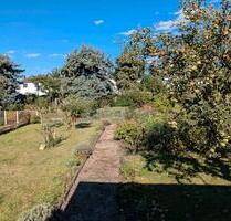 Garten in Apolda - 1.500,00&nbsp;EUR Kaltmiete, ca.&nbsp; 0,00&nbsp;m&sup2; in Apolda (PLZ: 99510)
