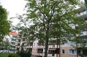 Foto - Den Kaßberg spüren...! 3 Zimmer mit Balkon