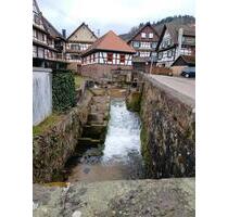 Schöne 4 Zimmer Wohnung in Reichental - Gernsbach