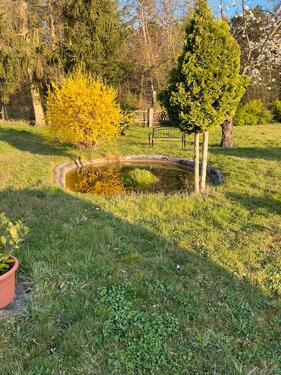 Foto - Einfamilienhaus in Lauchhammer zum Kaufen