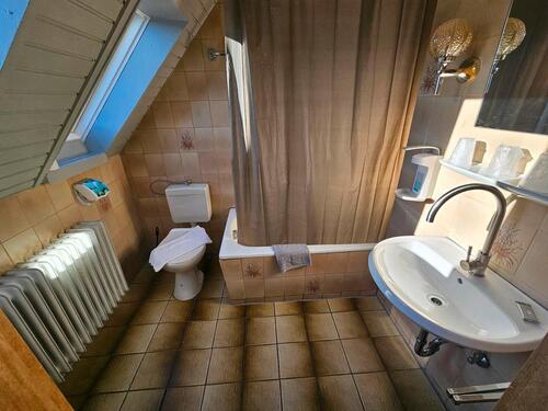 Foto - 1 grosse 1 Zimmerappartment mit Bad und WC