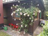 Foto - 2 Zimmer Bungalow in Bienenbüttel