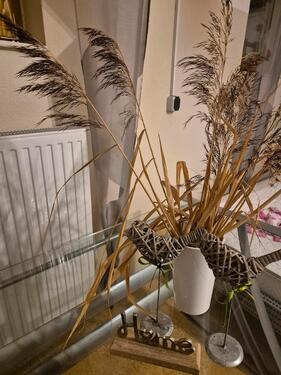 Foto - Appartement mit Bad und WC - 560,00 EUR Kaltmiete,