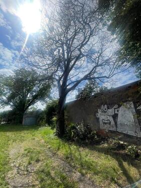 Foto - Garage Leipzig Eutritzscher Markt zu vermieten