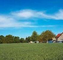 Bauernhof,Scheune,12ha Acker,Wiese,Wald 2x Baugrund a 1000qm - Plessa