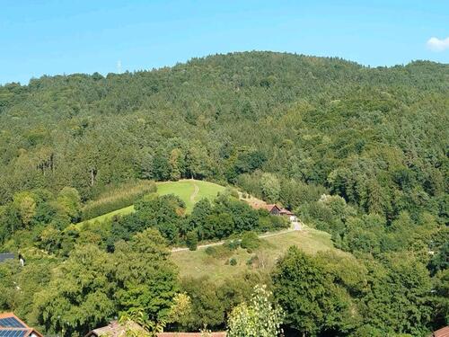 Foto - Ferienwohnung im bayerischen Wald