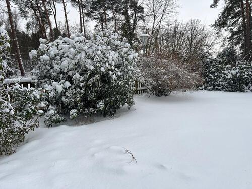 Foto - 6 Zimmer Einfamilienhaus in Burgdorf