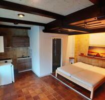 1-Zimmer-Apartement mit Kochgelegenheit und Bad - Billigheim