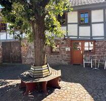 Charmantes Fachwerkhaus im Stadtkern von Bad Zwesten