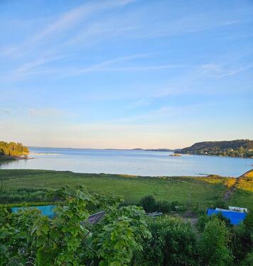 Foto - andere in Buchholz in der Nordheide