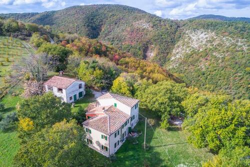 Foto - Ferienwohnung - Ruhe -Garten - Aussicht - tierhaarfrei