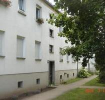 2-Zimmer-Whg. in Ziltendorf - 389,00&nbsp;EUR Kaltmiete, ca.&nbsp; 46,00&nbsp;m&sup2; in Brieskow-Finkenheerd (PLZ: 15295)