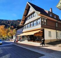 Todtmoos 4-Zi-Whg 98qm, EBK, Laminat, Garage, hell, zentral, ruhi