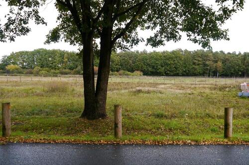 Foto - Idyllisches Bauland in ruhiger Lage