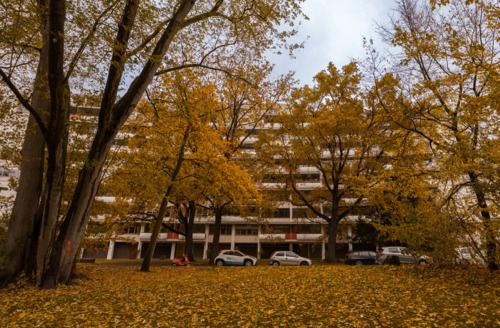 Foto - 4-Zimmer-Bauhaus-Wohnung am Tiergarten Berlin