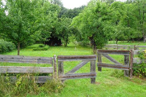 Foto - Besonderes Häuschen zu vermieten, auch als Ferienhaus möglich