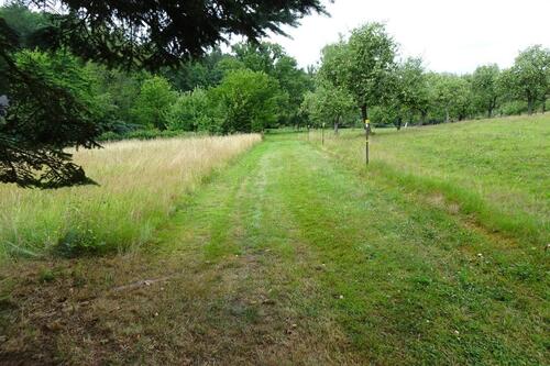 Foto - andere in Gerstungen