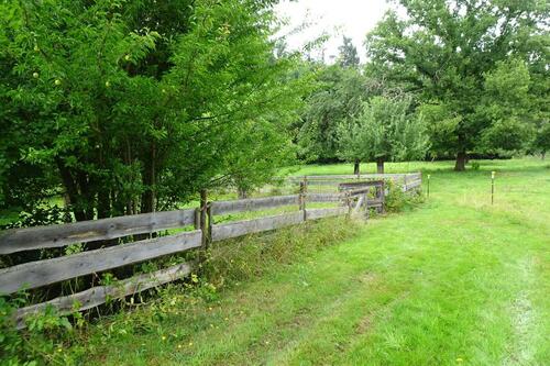 Foto - andere in Gerstungen zur Miete