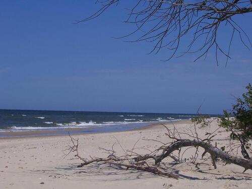 Foto - andere zur Miete in Sickte